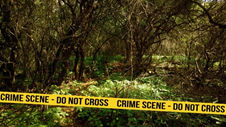 झाडाला लटकलेला, सडलेल्या अवस्थेत सापडला नेपाळी युवकाचा मृतदेह, सिंधुदुर्ग हादरलं, घटना काय? Mumbai Tak