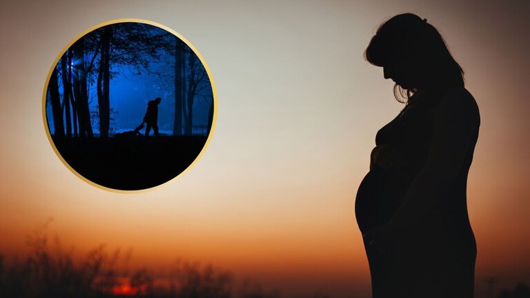 लग्नाआधीच राहिली गरोदर; रागात वडिलांनी मर्यादाच सोडल्या, जंगलात जाऊन मुलीसोबत... लग्नाआधीच राहिली गरोदर; रागात वडिलांनी मर्यादाच सोडल्या...