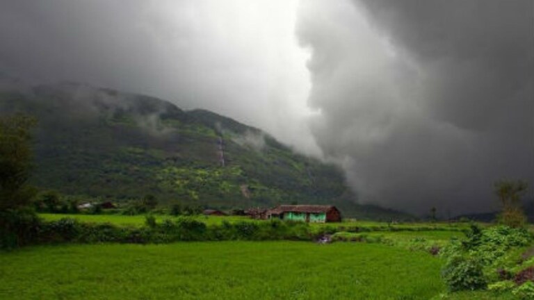 कोकणासह 'या' भागांना पावसाचा येलो अलर्ट जारी, पुणे आणि मध्य महाराष्ट्रात पावसाची स्थिती कशी असेल? Maharashtra weather Update
