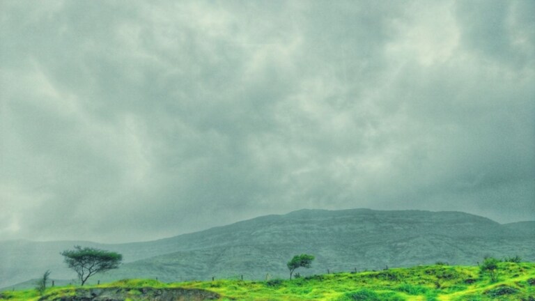 कोकणातील 'या' जिल्ह्यांना पावसाचा रेड अलर्ट, पुणे आणि साताऱ्यातील एकूण मान्सून परिस्थिती? Maharashtra Weather Update