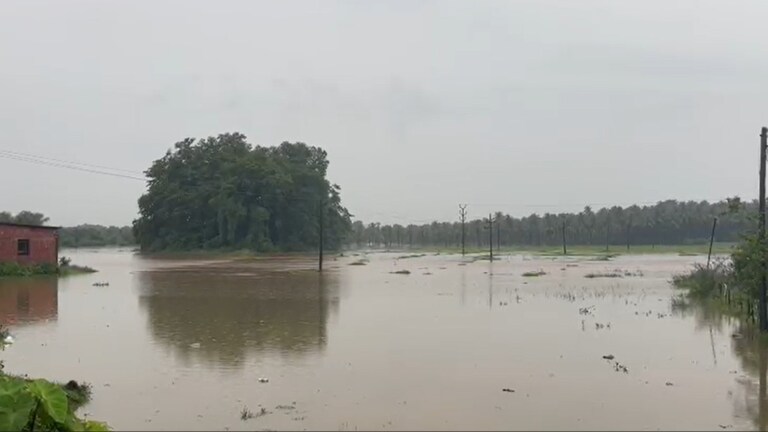 Konkan Rain: मालवण, कुडाळमध्ये पूर.. सिंधुदुर्गातील पुराचे हे Video पाहून भरेल धडकी मालवण, कुडाळमध्ये पूर