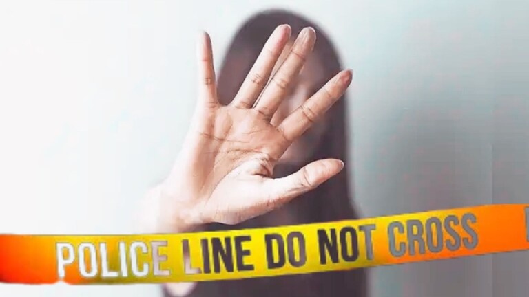 पुणे हादरलं! "ए पप्पी दे तुला..." 73 वर्षीय वृद्धाने तरुणीवर केला विनयभंग Pune News