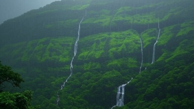 कोकणासह रायगड, रत्नागिरीत मान्सून कायम, पुणे आणि साताऱ्यातील घाटमाथ्यावरील मान्सून स्थिती कशी? maharashtra weather forecast update