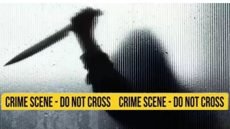 पुणेः फिर्याद दाखल करणाऱ्यांवर कोयत्याने वार, २३ वर्षीय महिलेची पोलिसात धाव pune crime
