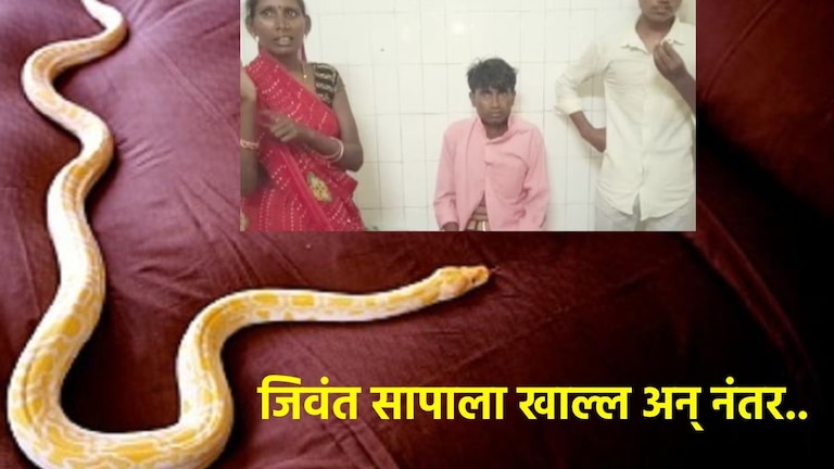 आरारारारा खतरनाक! पठ्ठ्याने दारूच्या नशेत जिवंत सापाला खाल्लं..नंतर घडली सर्वात भयंकर घटना Man Eats Snake Viral News