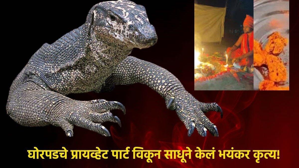 Mumbai Tak