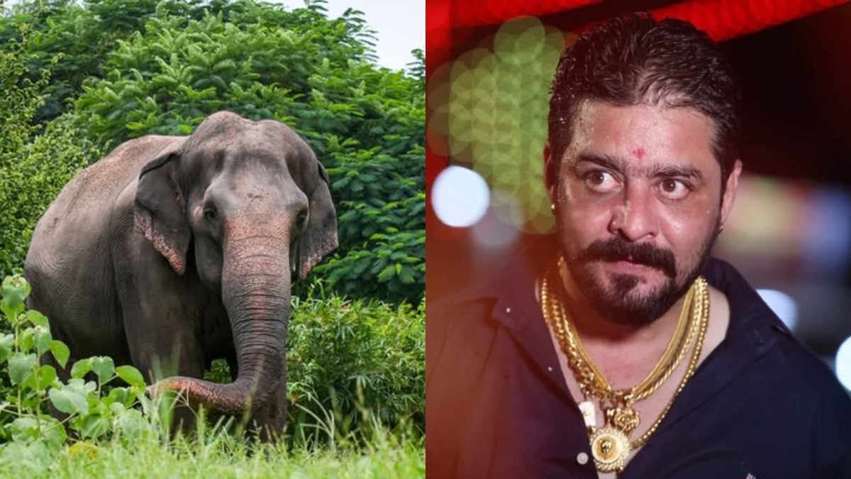 hindustani bhau teased citizens of kolhapur over madhuri elephant posted an abusive video