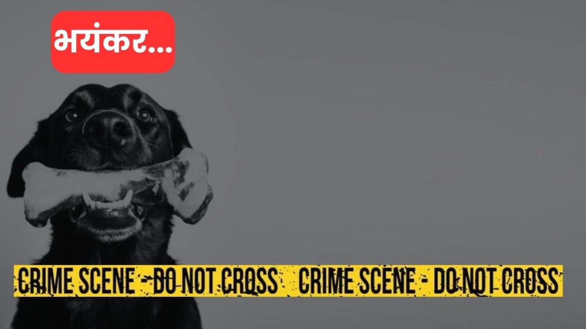 crime news 