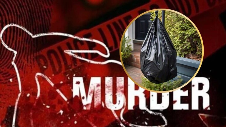 रस्त्याच्या कडेला प्लॅस्टिक पिशव्या, उघडून पाहिलं तर तुकड्यांमध्ये... पोलीस पोहचले अन् धक्कादायक खुलासा रस्त्याच्या कडेला प्लॅस्टिक पिशव्या, उघडून पाहिलं तर तुकड्यांमध्ये...