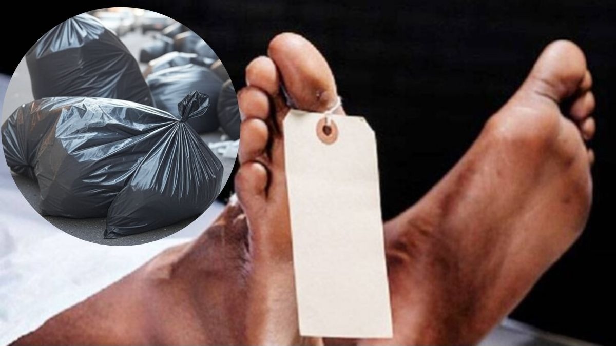 मृतदेहाचे 19 तुकडे अन्... जावयानेच केली सासूची निर्घृण हत्या