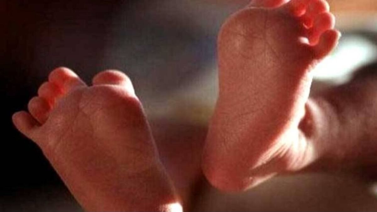 8 महिन्यांच्या पुतणीसोबत घृणास्पद कृत्य 