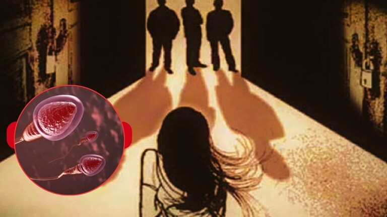 नात्याला काळिमा! लेकाचा स्पर्म काऊंट कमी असल्याने पाळणा हालेना, आधी सासऱ्याने सूनेवर नंतर नणंदेच्या नवऱ्याने आळीपाळीने... crime news