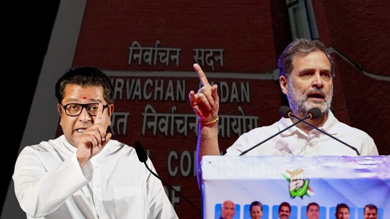 मनसेला मतं पडतात जर सगळंच काढलं तर 10-12 वर्षांचा खेळ... मतांच्या चोरीवरून राज ठाकरेंचं रोखठोक विधान Raj Thackeray