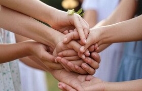 “पिंक गँग” 16 मुली आणि फिक्स टार्गेट... फक्त एक कॉल अन् लोक स्वतः करायचे पैसे ट्रान्सफर! “पिंक गँग” 16 मुली आणि फिक्स टार्गेट...