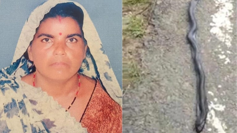 शेतावर गवत कापायला गेली अन् होत्याचं नव्हतं झालं! नाग-नागिणच्या सर्पदंशामुळे महिलेचा जीव गेला, सापांचाही झाला मृत्यू, कारण.. Today Shocking Viral News