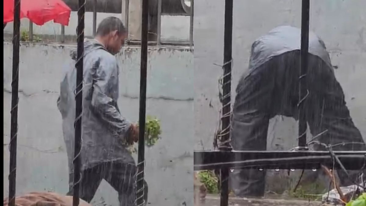  गटारीच्या पाण्यात भाज्या धुवून विक्री... व्हिडीओ व्हायरल