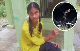 बापरे! मुलीच्या मागे लागला साप अन् महिन्याभरात तब्बल 9 वेळा डसला... नेमकी घटना काय? मुलीच्या मागे लागला साप अन् महिन्याभरात तब्बल 9 वेळा डसला...