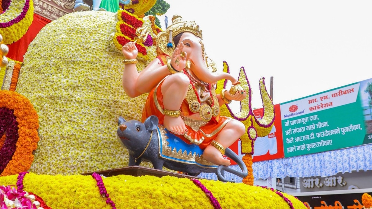 pune youth throbbed at immersion ceremony immersion of bappas from many mandals including respected ganesha idols