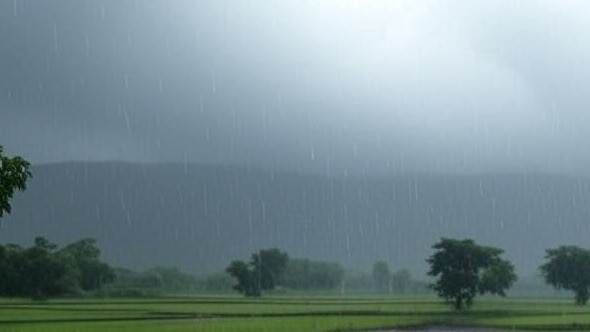 Maharashtra Weather: रत्नागिरी, सिंधुदुर्गसह राज्यात पावसाचा वेग अचानकपण मंदावला, पाहा नेमकं कसं असेल वातावरण