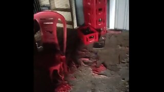 Beed: दाजी जाम चिडला, मेव्हण्याचं हॉटेलच टाकलं जाळून कारण बायको... Mumbai Tak