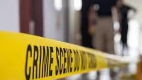 Crime News 