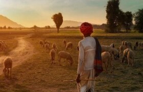 जन्मलेल्या 20 दिवसांच्या बाळाला जमिनीत पुरलेलं, नंतर मेंढपाळानं पाहिलं अन् शरीरावर प्राण्यांनी चावा घेत नंतर... crime news