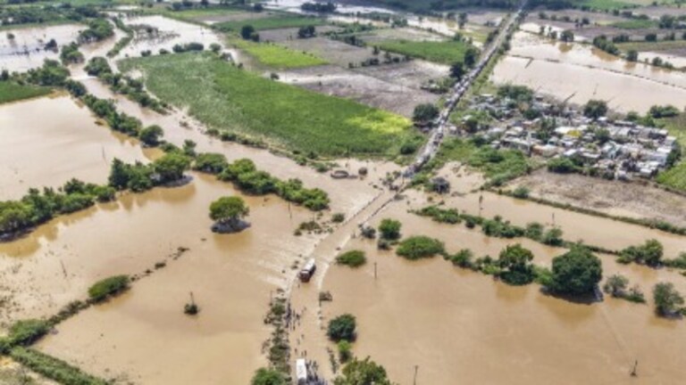 मराठवाड्याला पावसानं झोडपलं, बीडमध्ये शेतकऱ्यांची पिकं पाण्याखाली, विद्यार्थ्यांची वह्या पुस्तकं गेली वाहून Marathwada rain update
