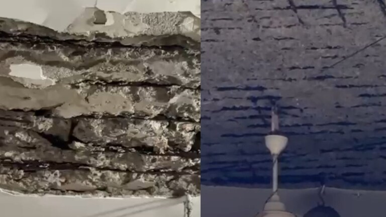 पती-पत्नी करत होते हॉलमध्ये आराम, 40 वर्षे जून्या इमारतीचा कोसळला स्लॅब, वसईत नेमकं काय घडलं? Vasai Slab collapes