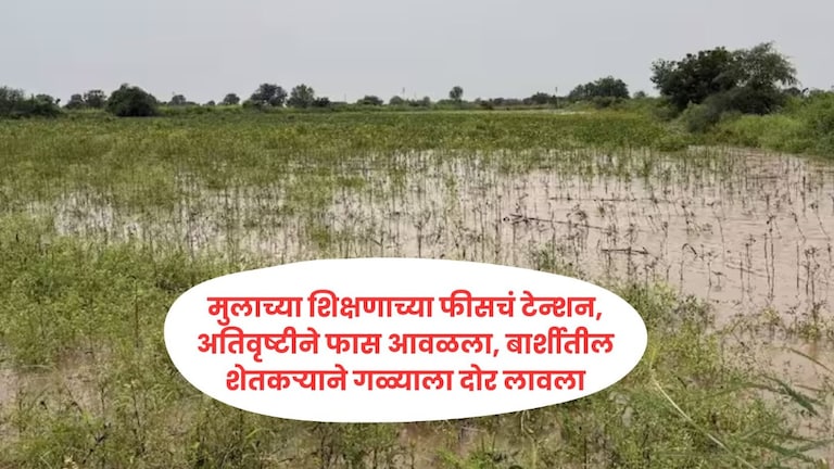 मुलाच्या शिक्षणाच्या फीसचं टेन्शन, अतिवृष्टीने फास आवळला, बार्शीतील दोन शेतकऱ्यांनी आयुष्य संपवलं Mumbai Tak
