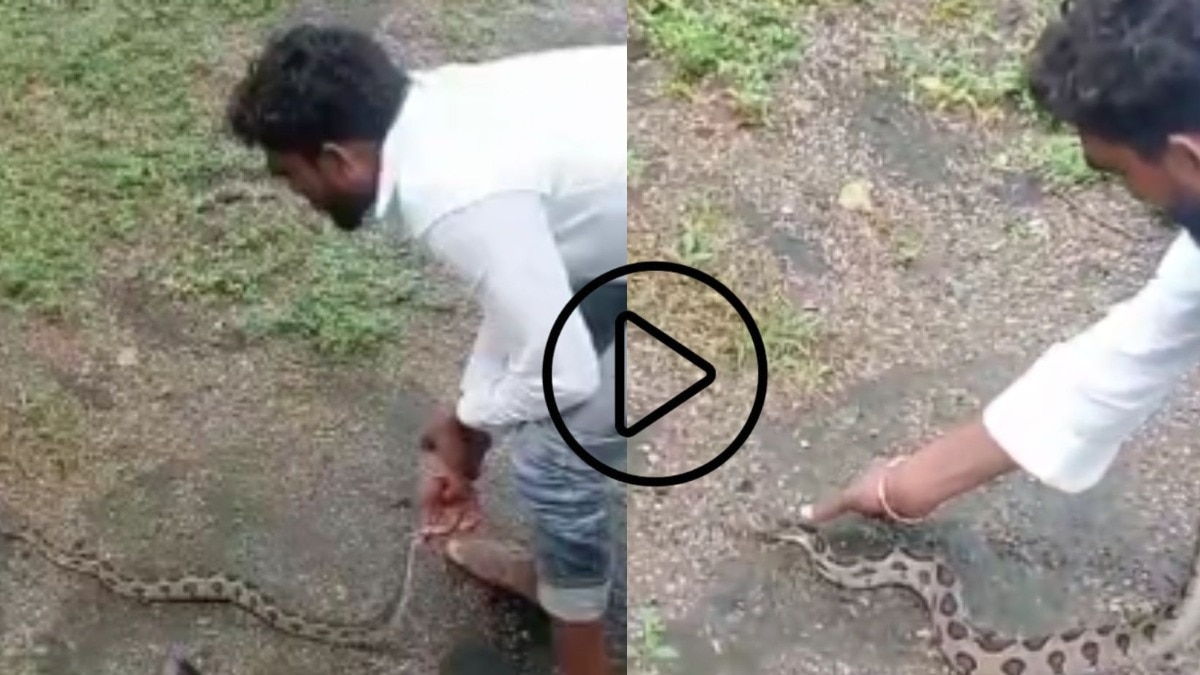 तरुणाला मस्ती नडली, साप पकडताना केला दंश, नंतर तरुणाला रुग्णालयात नेलं अन् उपचारादरम्यान...