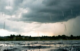 Maharashtra Weather: कोकणात पावसाच्या सरी बरसणार, तर मराठवाड्याील 'या' जिल्ह्यांना हवामान विभागाकडून अलर्ट Maharashtra Weather