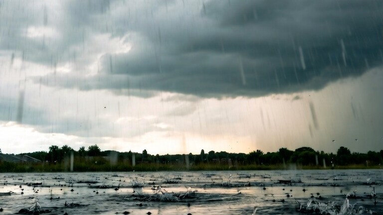 Maharashtra Weather: कोकणात पावसाच्या सरी बरसणार, तर मराठवाड्याील 'या' जिल्ह्यांना हवामान विभागाकडून अलर्ट Maharashtra Weather