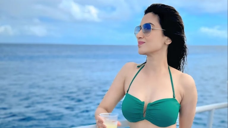 पारूचा कहर... आली लहर अन् केले बिकिनीवरचे फोटो शेअर! pappi de parula fame actress smita gondkar shared her hottest bikini photos on instagram