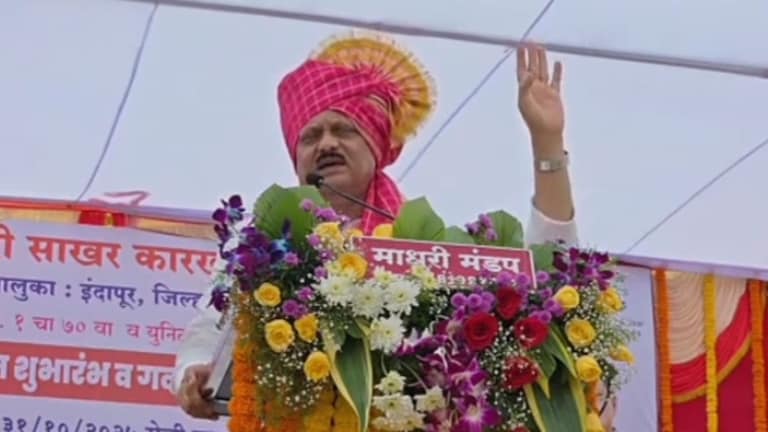 'ज्याला पलटन वाढवायची असेल, वाढवा बाबा...' आंबे खाऊन पोरं होत नाहीत... अजित पवारांचं लोकसंख्या नियंत्रणावर भाष्य ajit pawar