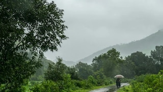 हिवाळ्यात 'या' भागांत हलका ते मध्यम स्वरुपाच्या पावसाचा अंदाज, जाणून घ्या हवामानाची महत्त्वाची अपडेट  Mumbai Tak