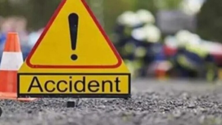 मुंबई-अहमदाबाद महामार्गावर वळण घेताना ट्रकच्या धडकेत रिक्षाचा चुराडा, बाप-लेकाचा जागीच मृत्यू Mumbai Accident