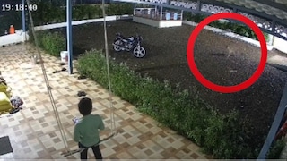 शिरुरमध्ये चिमुकला झोका खेळत होता, दबा धरुन बसलेला बिबट्या आला अन्.., पाहा थरारक CCTV व्हिडीओ Mumbai Tak