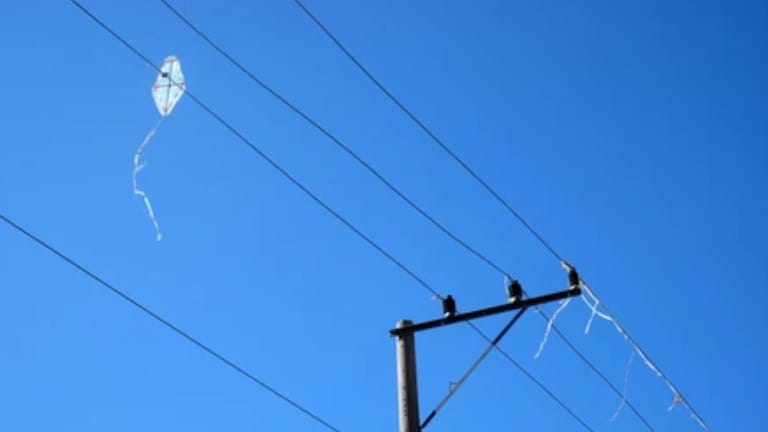 कोल्हापूर : विद्युत तारेत पतंग अडकला, दोन सख्खे भाऊ लोखडी रॉडने डवचू लागले अन् शेवटी व्हायचं तेच झालं Kolhapur news