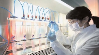 Govt Job: भारत सरकारच्या या वैद्यकीय संस्थेत सहभागी व्हा... मोठ्या पदांसाठी निघाली भरती! जाणून घ्या, सविस्तर माहिती Mumbai Tak