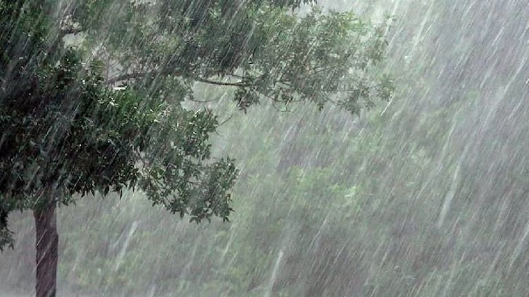 Maharashtra Weather: कोकणात पाऊस तर अनेक ठिकाणी ढगाळ वातावरण, पाहा कसं आहे आजचं हवामान Mumbai Tak