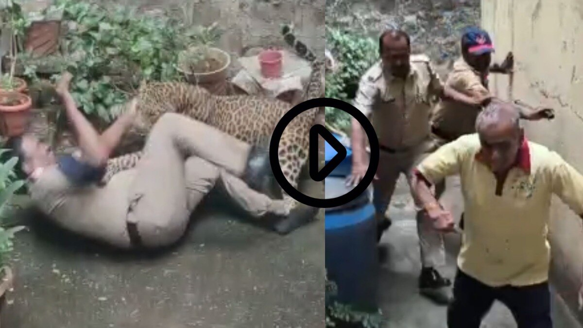Kolhapur Leopard Attack