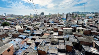 मुंबईची खबर: मुंबईच्या विकासासाठी बेकायदेशीर झोपडपट्ट्यांवर कठोर कारवाई आवश्यक? मुंबई उच्च न्यायालयाचं निरीक्षण Mumbai Tak