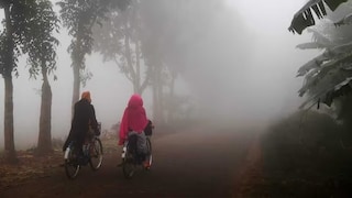 Maharashtra Weather: थोडं सांभाळून.. 'या' जिल्ह्यांमध्ये येणार थंडीची लाट, तब्येतीला जपा! Mumbai Tak