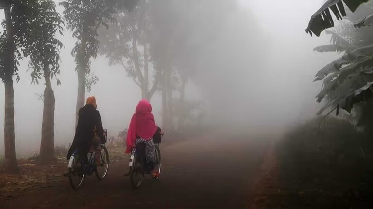 Maharashtra Weather: थोडं सांभाळून.. 'या' जिल्ह्यांमध्ये येणार थंडीची लाट, तब्येतीला जपा! Mumbai Tak