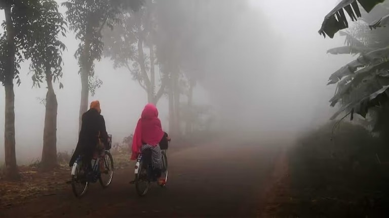 Maharashtra Weather: थोडं सांभाळून.. 'या' जिल्ह्यांमध्ये येणार थंडीची लाट, तब्येतीला जपा! Mumbai Tak