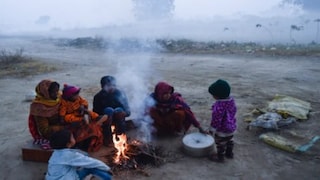 Maharashtra Weather: IMD चा इशारा, राज्यभरात थंडीच्या लाट.. आता भरणार हुडहुडी! Mumbai Tak