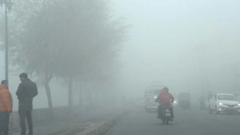 Maharashtra Weather : राज्यात 'या' जिल्ह्यांमध्ये कोरड्या हवामानाचा अंदाज, तर काही ठिकाणी हुडहुडी maharashtra weather