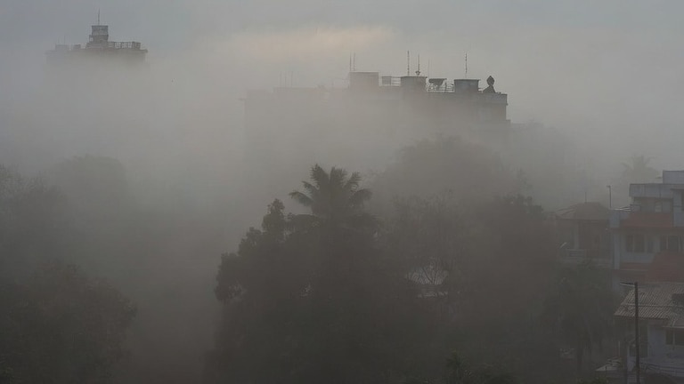 Maharashtra Weather : मुंबईत धुक्यासह ढगाळ वातावरण, हवामान विभागाकडून नवा अलर्ट जारी maharashtra weather