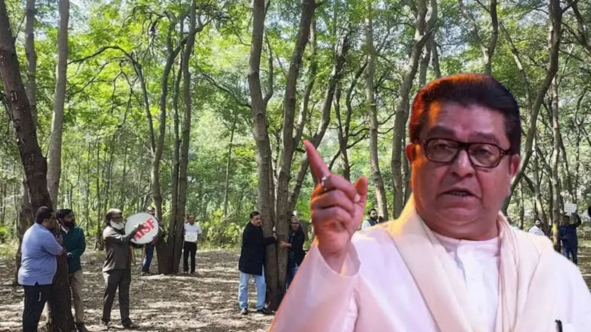 Raj Thackeray on Nashik Tapovan Tree Cutting Controvercy