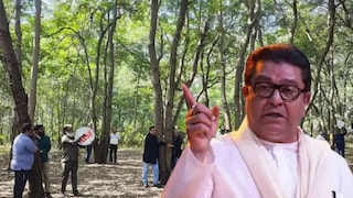 '.. उद्योगपतींचे दलाल', नाशकात 1800 झाडं तोडण्याचा निर्णय कशासाठी? राज ठाकरेंनी कारणं सांगितली Mumbai Tak